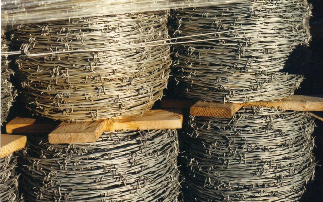 BARB-WIRE (Medium)